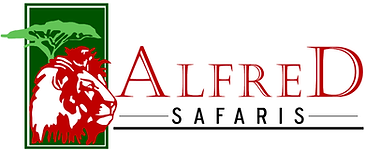 Alfred Safaris